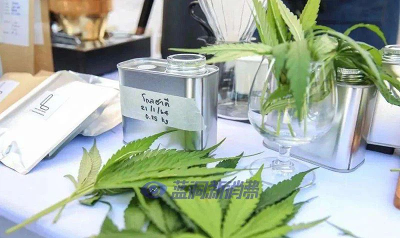 It-Tajlandja tipprojbixxi l-bejgħ ta’ prodotti tal-vaping tal-kannabis
